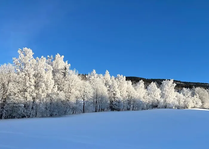 Lucni Jurajda Lägenhet *